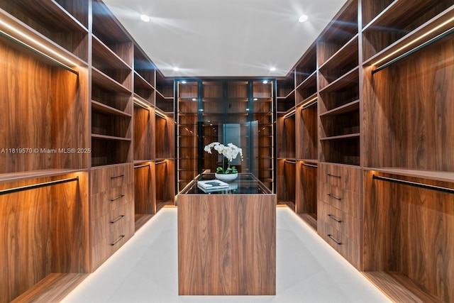 2033 NE 22nd St, Wilton Manors, FL 33305 - view of spacious closet