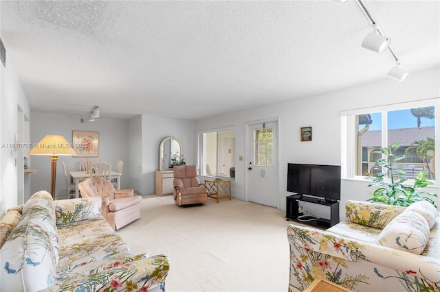 311 Pine Ridge Cir Unit C-2, Green Acres, FL 33463 - carpeted living room with rail lighting, healthy amount of natural light, and a textured ceiling