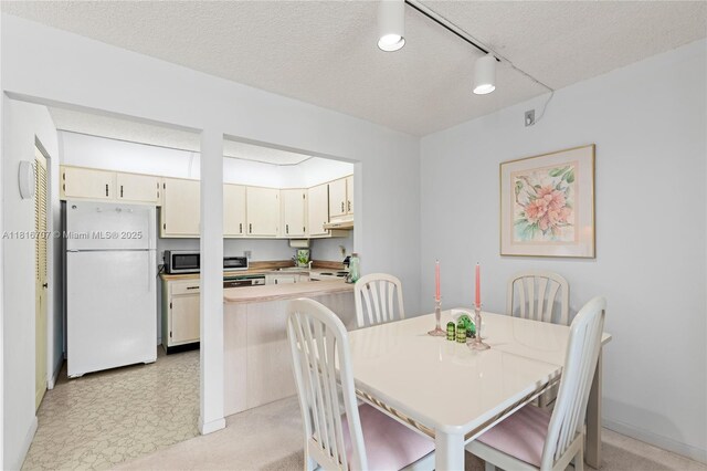 311 Pine Ridge Cir Unit C-2, Green Acres, FL 33463 - dining room with a textured ceiling, baseboards, and rail lighting