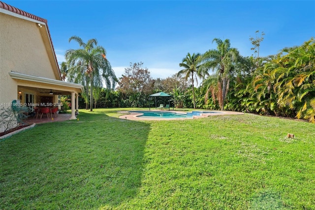 3320 Maple Ln, Davie, FL 33328 - view of green lawn featuring a ceiling fan, a patio, and an outdoor pool