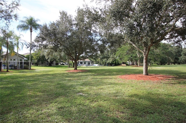 3320 Maple Ln, Davie, FL 33328 - view of grassy yard
