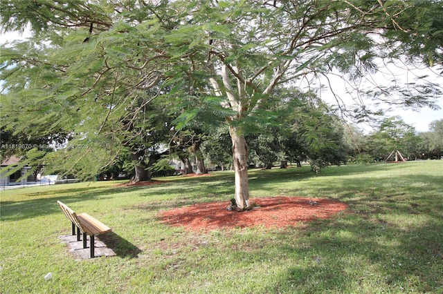 3320 Maple Ln, Davie, FL 33328 - view of grassy yard