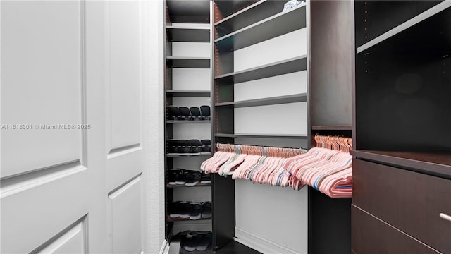 11530 SW 13th Ct, Pembroke Pines, FL 33025 - view of walk in closet