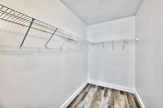 2273 SW Phyllis Ln, Port St Lucie, FL 34953 - walk in closet featuring dark wood-style floors