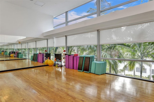 2950 NE 188th St Unit 225, Aventura, FL 33180 - workout area with a towering ceiling, expansive windows, and wood finished floors
