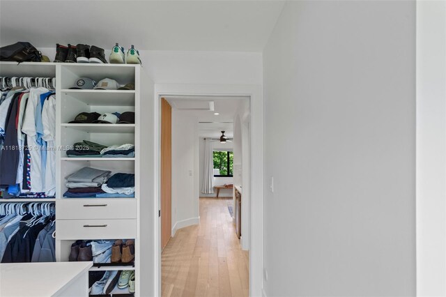 7570 SW 60th St, Miami, FL 33143 - walk in closet featuring light wood-style floors