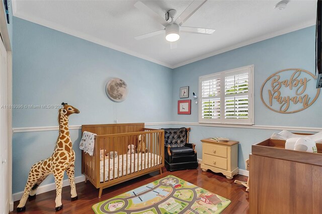 21497 SW 85th Ave, Cutler Bay, FL 33189 - photo 13