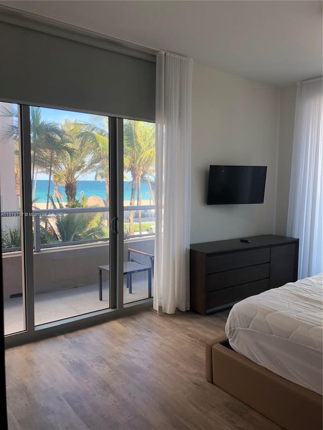 777 N Ocean Dr Unit N207, Hollywood, FL 33019 - bedroom with multiple windows and wood finished floors