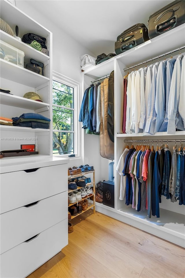 spacious closet featuring wood finished floors