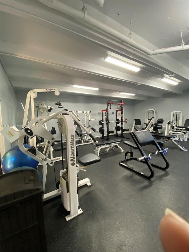 9301 SW 92nd Ave Unit A320, Miami, FL 33176 - view of exercise room