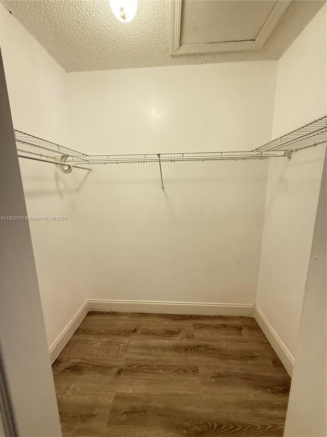 25116 SW 129th Pl, Homestead, FL 33032 - photo 19