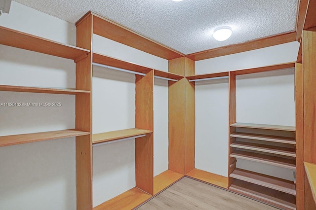 164 Granada Ave, Weston, FL 33326 - walk in closet featuring wood finished floors