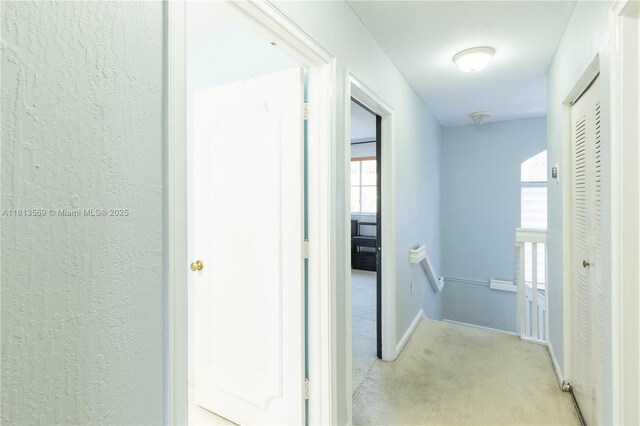 16065 SW 86th Ln, Miami, FL 33193 - photo 12