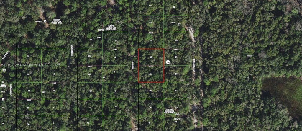 3927 S Ibis Pt, Inverness, FL 34450 - photo 1