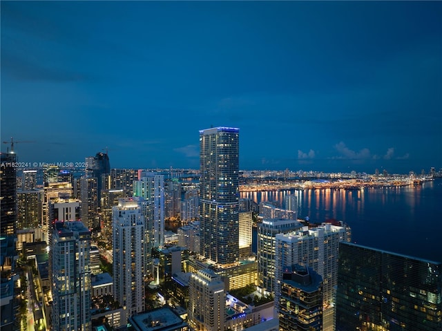 1420 S Miami Ave Unit 5202, Miami, FL 33130 - photo 24