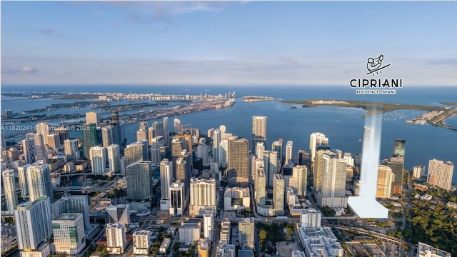1420 S Miami Ave Unit 5202, Miami, FL 33130 - photo 25