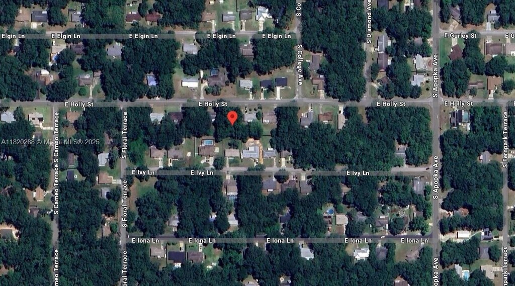 6122 E Holly St, Inverness, FL 34452 - photo 2