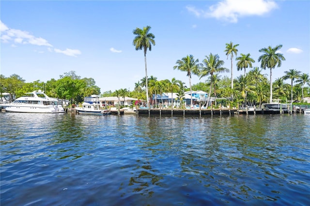 1301 River Reach Dr Unit 110, Fort Lauderdale, FL 33315 - photo 43