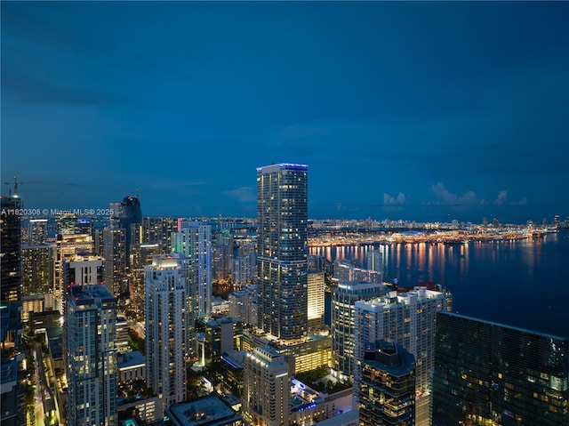 1420 S Miami Ave Unit 5304, Miami, FL 33130 - city view with a view of city lights and a large body of water