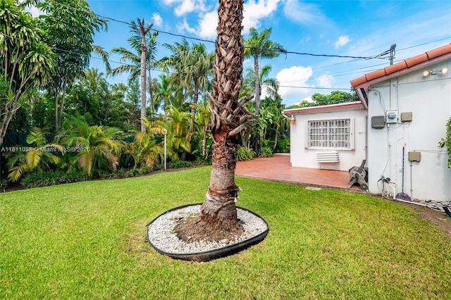 8701 SW 80th St, Miami, FL 33173 - view of green lawn featuring a patio