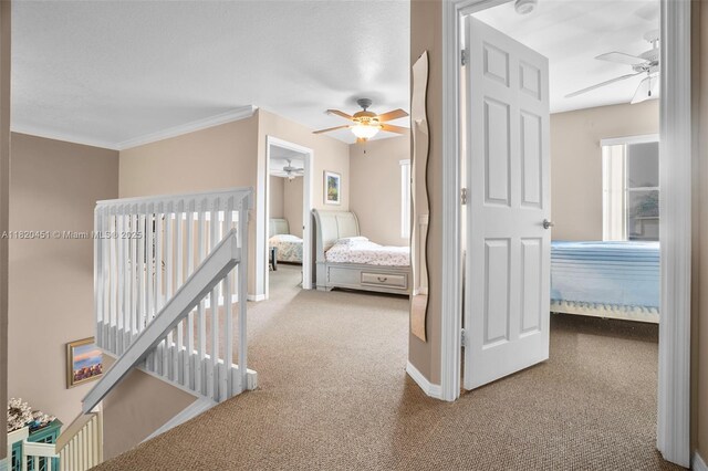 1762 E Trafalgar Cir, Hollywood, FL 33020 - carpeted bedroom with multiple windows, a ceiling fan, and crown molding