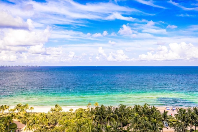9705 Collins Ave Unit 1101N, Bal Harbour, FL 33154 - water view featuring local beach