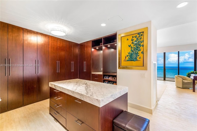 9705 Collins Ave Unit 1101N, Bal Harbour, FL 33154 - spacious closet with light wood-style flooring