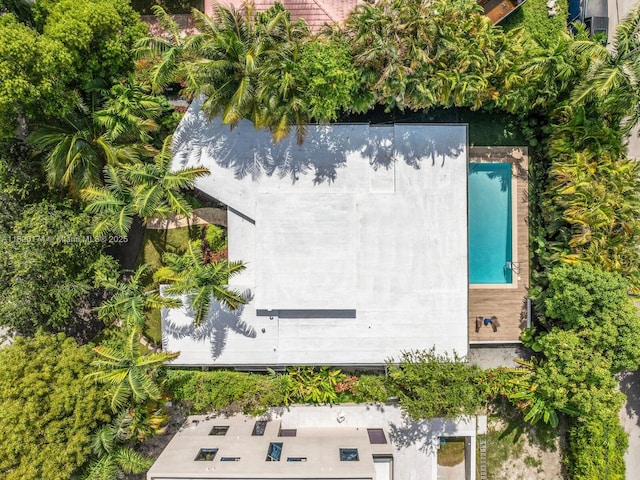 1130 NE 91st Ter, Miami Shores, FL 33138 - aerial view of a pool