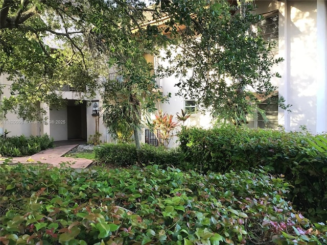 9472 SW 77th Ave Unit P2, Miami, FL 33156 - view of yard