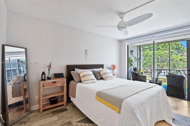 2781 Taft St Unit 308, Hollywood, FL 33020 - bedroom featuring access to exterior, light wood finished floors, and a ceiling fan