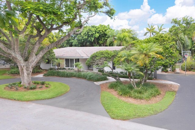 11900 SW 72nd Pl, Pinecrest, FL 33156 - single story home with curved driveway, a tiled roof, and stucco siding