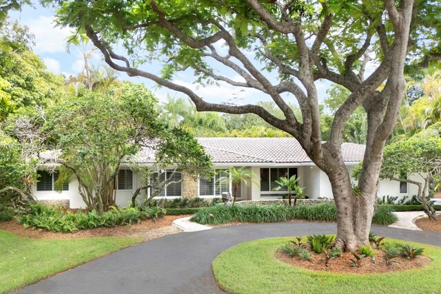 11900 SW 72nd Pl, Pinecrest, FL 33156 - single story home with a tile roof, curved driveway, stucco siding, and stone siding