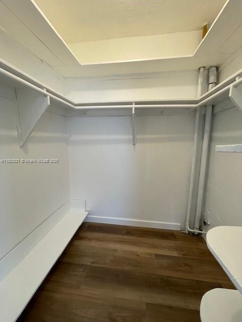 1475 NE 125th Ter Unit 614K, North Miami, FL 33161 - walk in closet with wood finished floors
