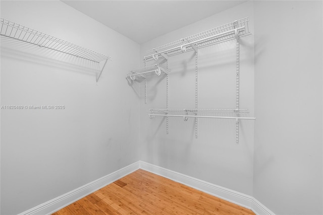 7280 SW 89th St Unit D501, Miami, FL 33156 - photo 11