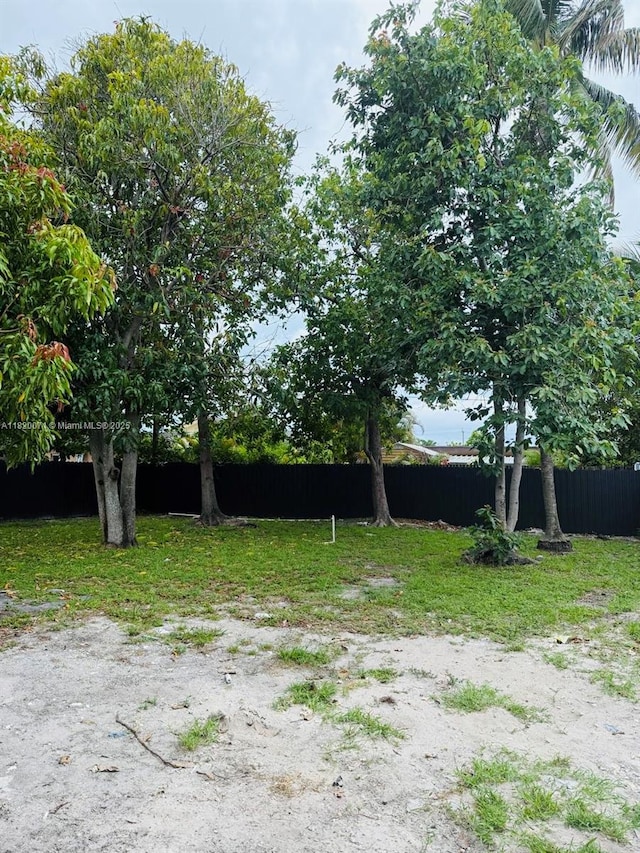 543 E 61st St, Hialeah, FL 33013 - view of yard