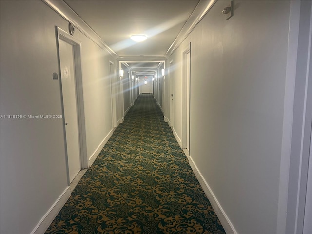 6770 Indian Creek Dr Unit 6D, Miami Beach, FL 33141 - hallway with dark colored carpet and crown molding