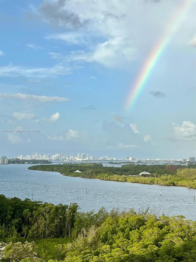 100 Bayview Dr Unit 1223, Sunny Isles Beach, FL 33160 - water view featuring city skyline