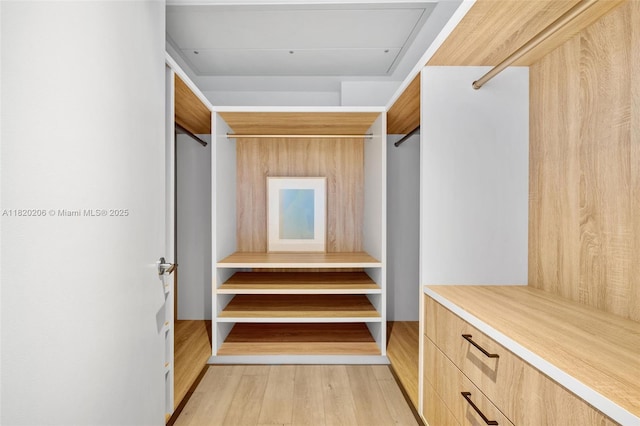 102 24th St Unit Ph-1706, Miami Beach, FL 33139 - spacious closet featuring light wood-style flooring