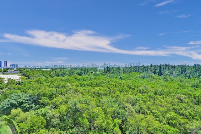 14951 Royal Oaks Ln Unit 803, North Miami, FL 33181 - view of woods with a view of skyline