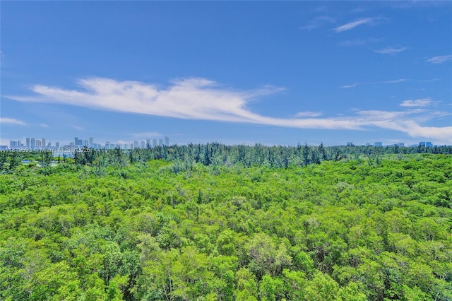 14951 Royal Oaks Ln Unit 803, North Miami, FL 33181 - view of wooded area with a view of skyline