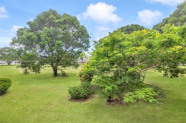 2026 Berkshire B 2026, Deerfield Beach, FL 33442 - view of grassy yard