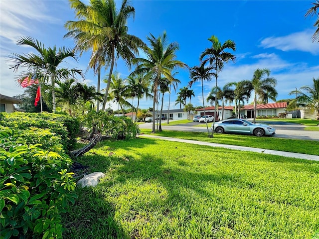 4905 Harrison St, Hollywood, FL 33021 - photo 34