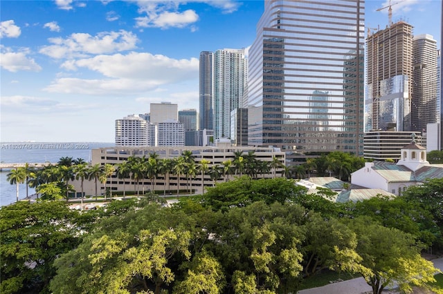 495 Brickell Ave Unit 905, Miami, FL 33131 - city view featuring a nearby body of water