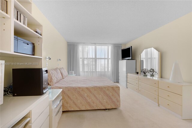 2500 Parkview Dr Unit 1717, Hallandale Beach, FL 33009 - bedroom featuring light colored carpet