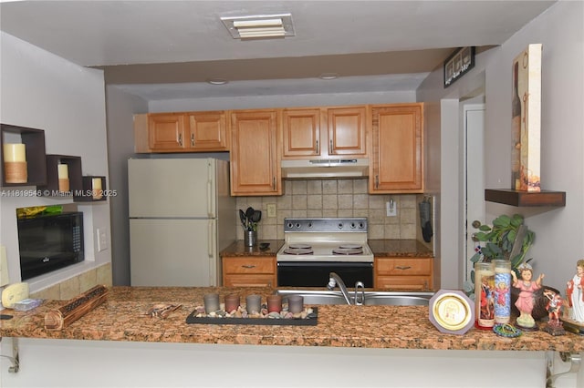7125 NW 186th St Unit B311, Hialeah, FL 33015 - kitchen featuring white appliances, under cabinet range hood, backsplash, and stone countertops