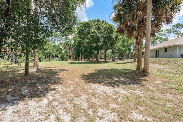 17038 N 61st Pl N, Loxahatchee, FL 33470 - view of yard