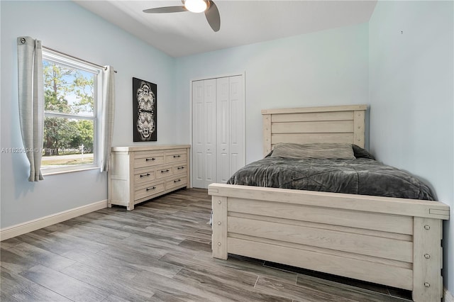 17038 N 61st Pl N, Loxahatchee, FL 33470 - bedroom with wood finished floors, a closet, and ceiling fan