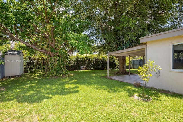 918 NE 6th St, Hallandale Beach, FL 33009 - fenced backyard with a storage unit and a patio area