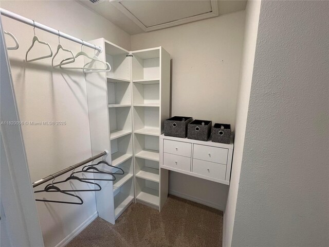 12035 Holystone St, Winter Garden, FL 34787 - spacious closet with carpet and attic access