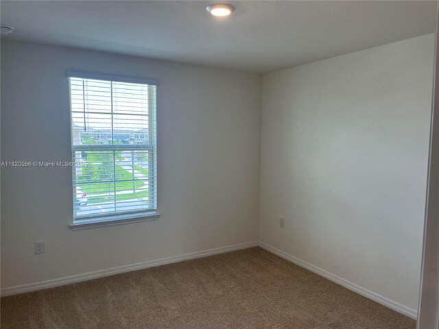 12035 Holystone St, Winter Garden, FL 34787 - unfurnished room featuring healthy amount of natural light and carpet floors